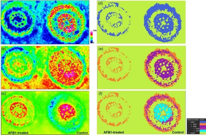 Exploratory data analysis for AP-SMALDI imaging of a maize root sample to visualize inter- and intra-sample comparison (Righetti et al., 2021)